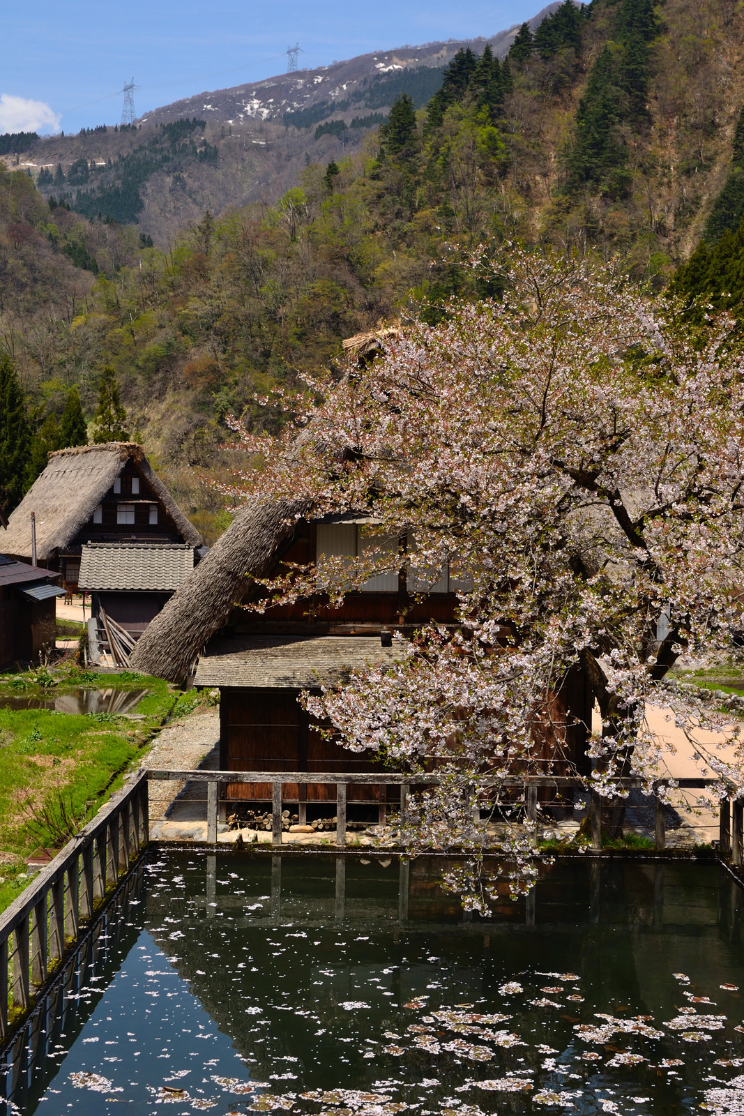菅沼 相倉 合掌造り集落 五箇山 へ 後藤健太郎のブログ