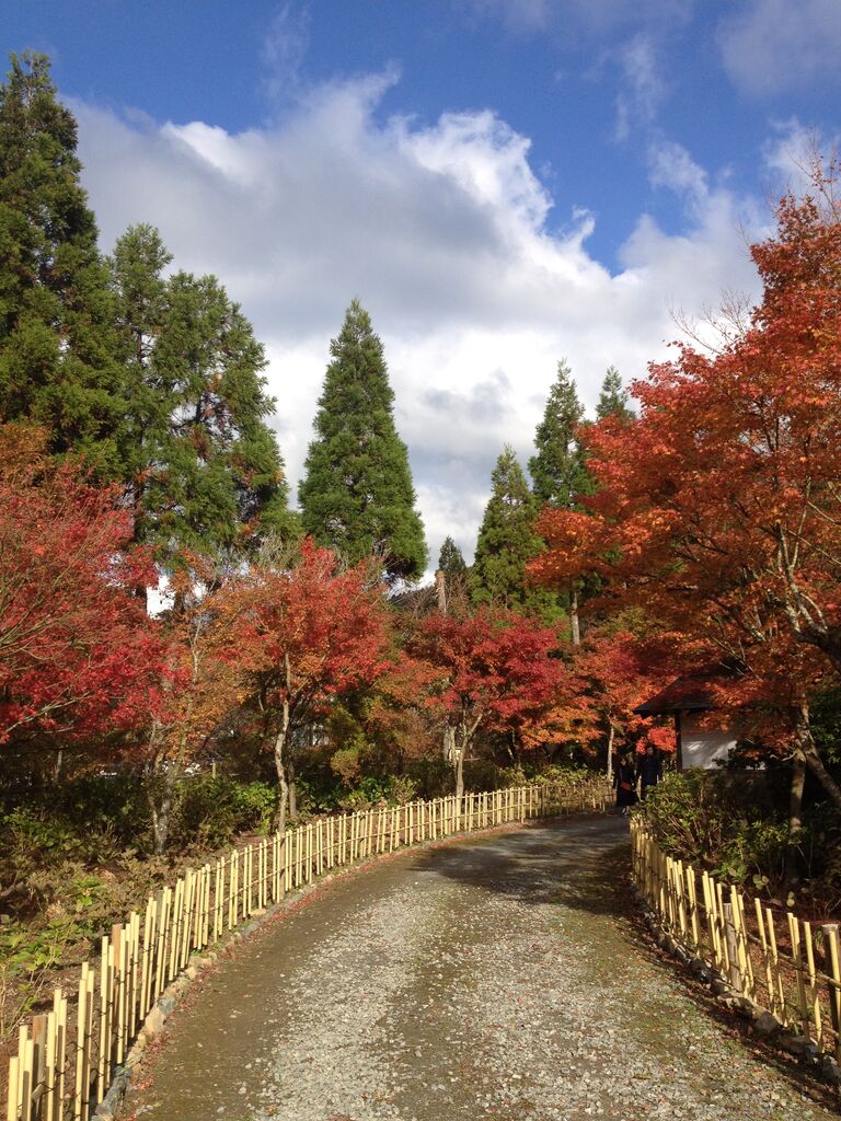 19九州紅葉情報その1 ごうの旅伝説 地元レポート忘れずに 19九州紅葉情報その1 ごうの旅伝説 地元レポート忘れずに