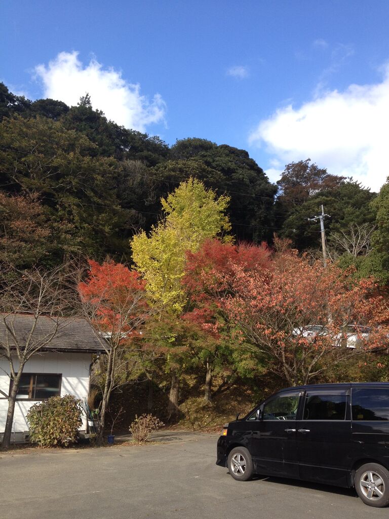 19九州紅葉情報その1 ごうの旅伝説 地元レポート忘れずに 19九州紅葉情報その1 ごうの旅伝説 地元レポート忘れずに