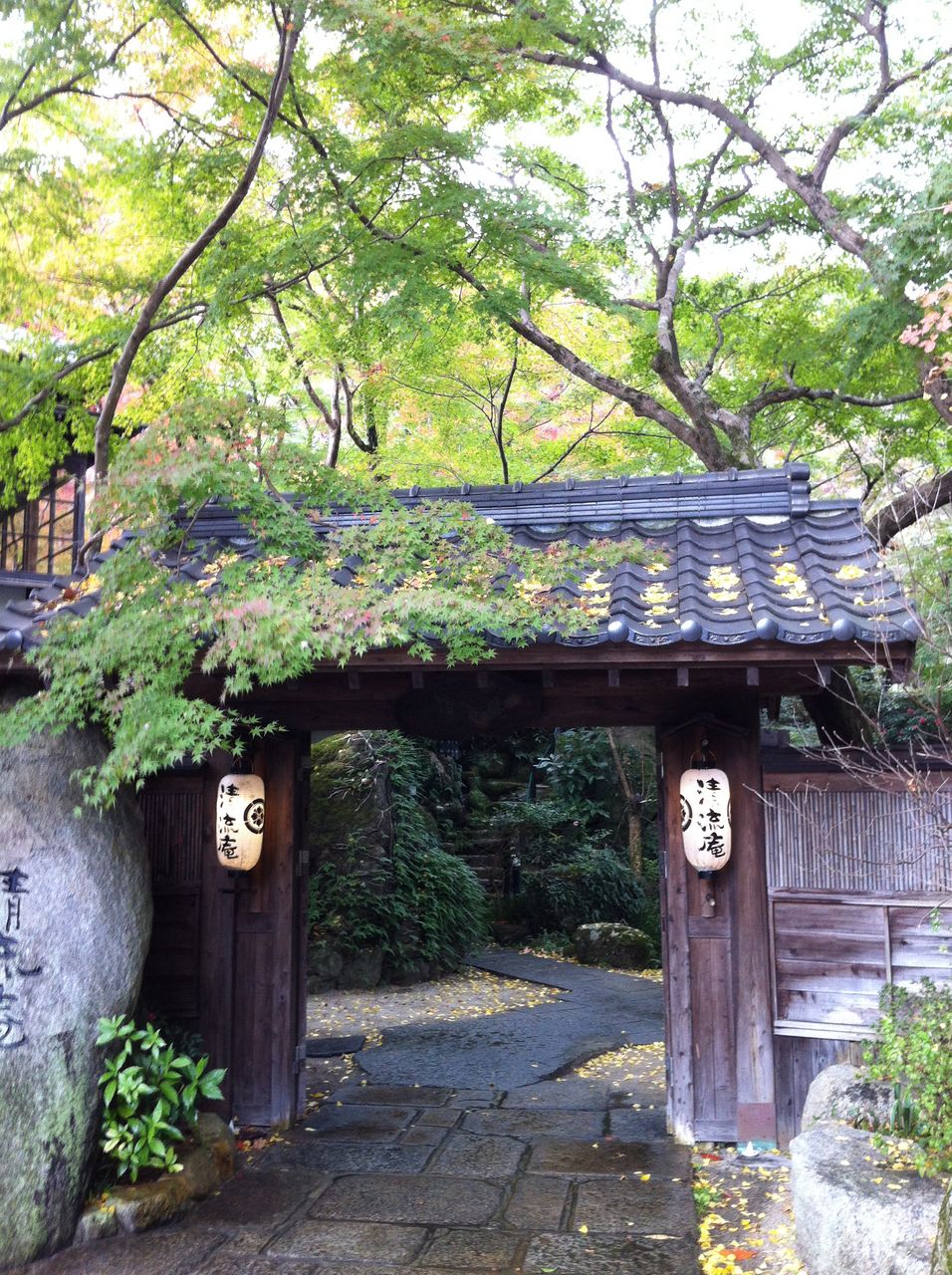 九州北部紅葉チェック 秋月 江川ダム 東峰村 ごうの旅伝説 地元レポート忘れずに 九州北部紅葉チェック 秋月 江川ダム 東峰村 ごうの旅伝説 地元レポート忘れずに
