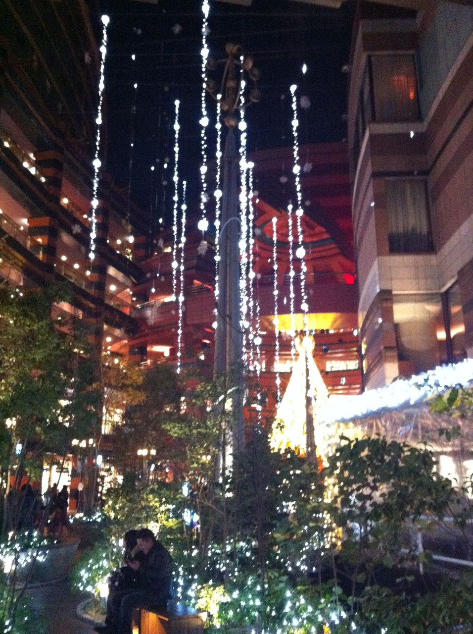 クリスマスイルミネーションat福岡市 ごうの旅伝説 地元レポート忘れずに クリスマスイルミネーションat福岡市 ごうの旅伝説 地元レポート忘れずに