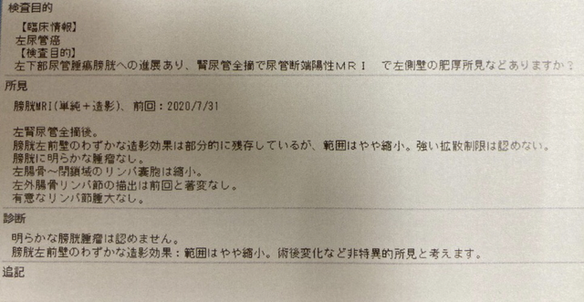 腎盂腎炎 人気記事 一般 アメーバブログ アメブロ