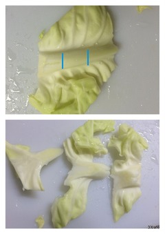 キャベツそぎ切り