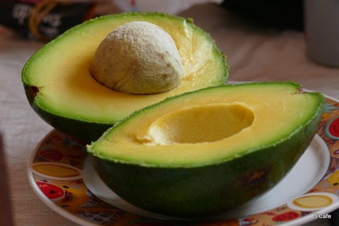 1-avocado-878958_1280