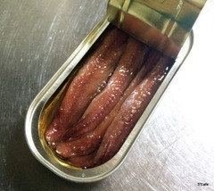 ダイソーアンチョビ缶