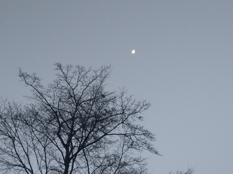 IMG_20230112_065423284