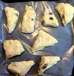 成型後のスコーン生地