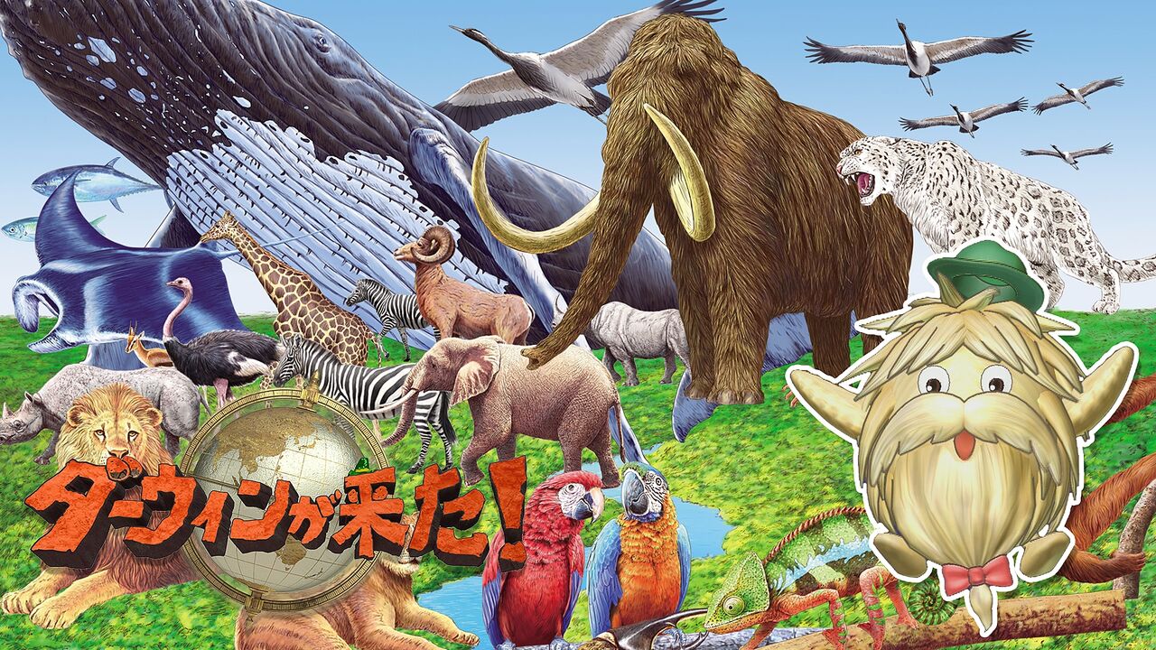 裏番組コラボ！？熱心なファンなら要チェック！「ダーウィンが来た！」“サンダル泥棒の謎を大捜査”のオフショット公開！