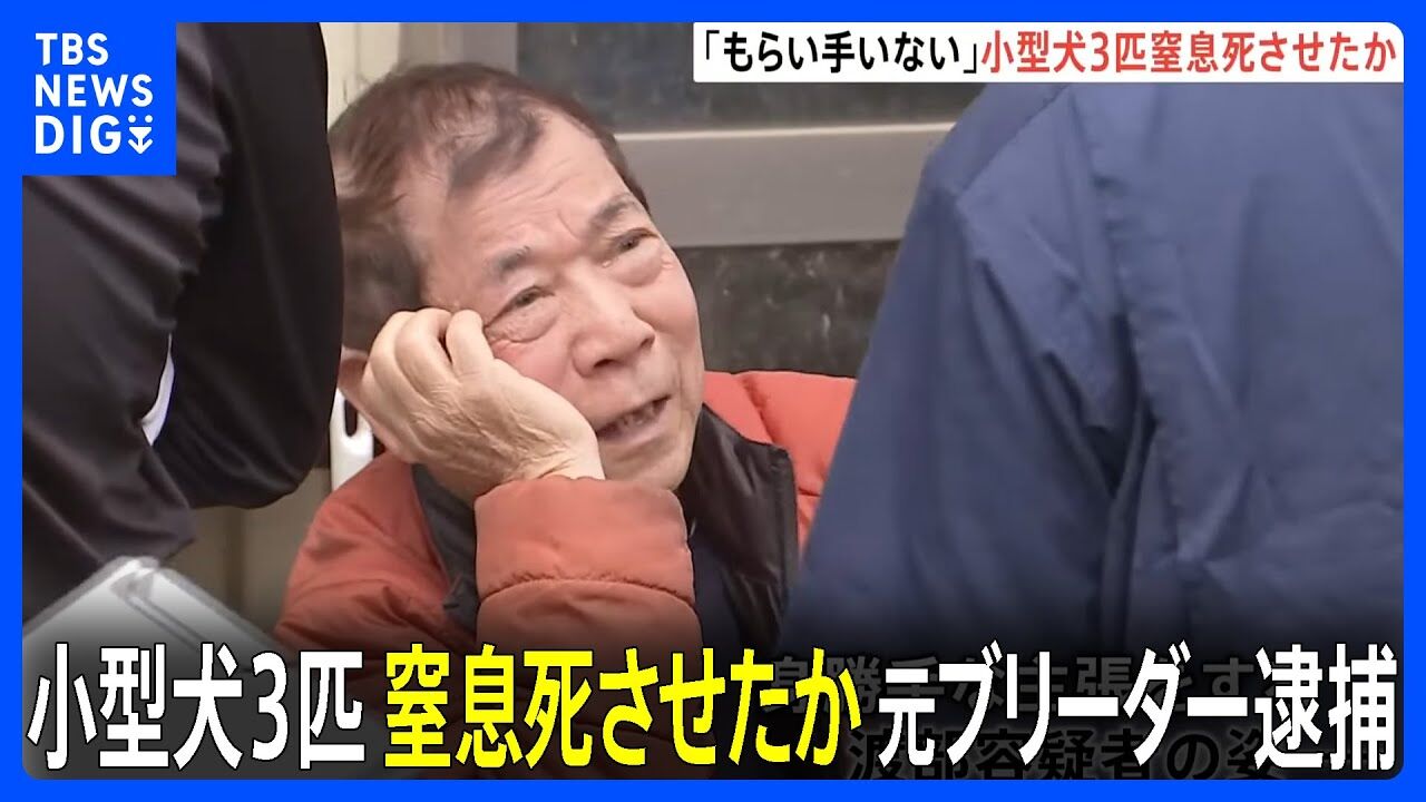 81歳元ブリーダーが小型犬3匹を虐待し殺害、逮捕される