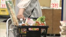 バブル崩壊後の飲食業界、値上げの影響はどれくらい？