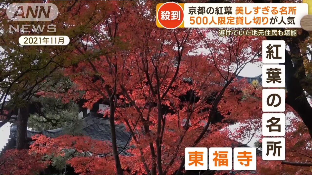 紅葉の季節に京都への観光客が殺到！宿泊料金が倍に値上がり
