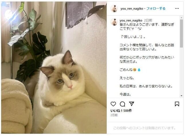 【猫ちゃん無事でいて欲しい】遠野なぎこの愛猫・愁くん、行方不明やんけ…