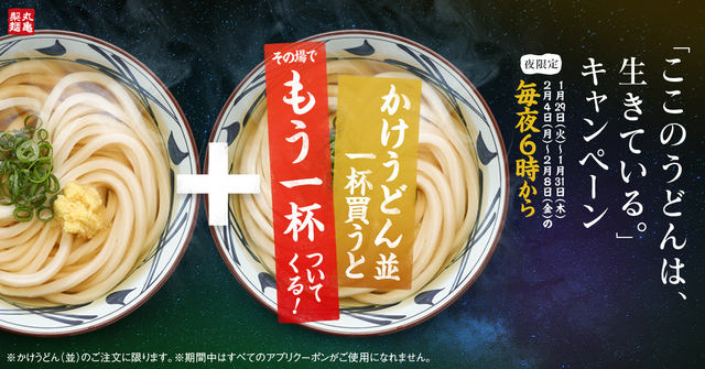 「西成のドン底を乗り越えた元極道店主が見た、人情あふれるかけうどんの世界」