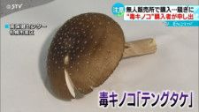「テングタケ摂取で家族が錯乱！驚きの事態が起きた新宿の一家」