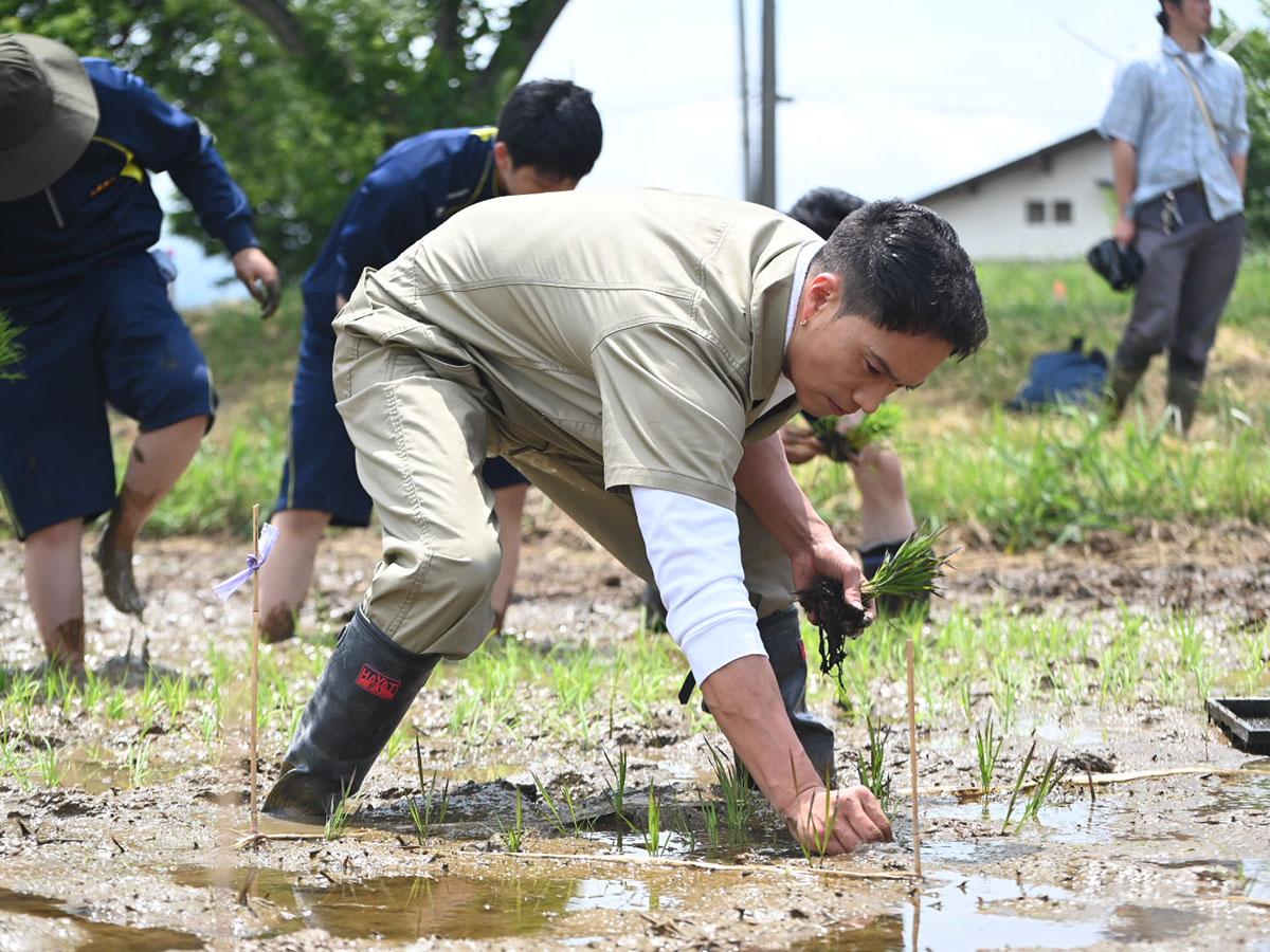 【田植え祭】市原隼人キタ───ｗｗｗ！田んぼアートやばすぎる件ｗｗｗ