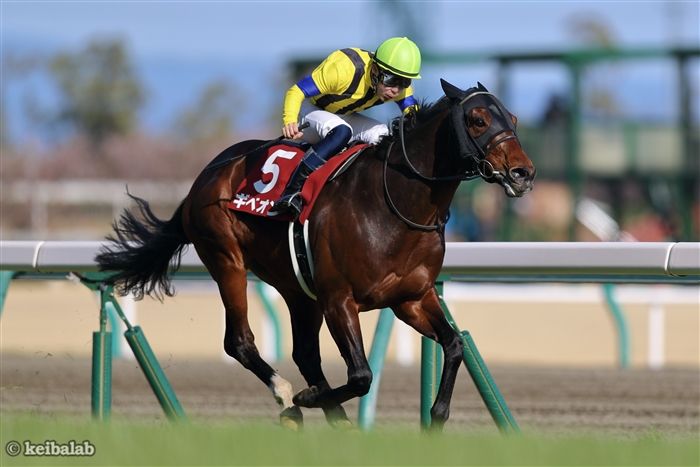 阪神大賞典・スプリングS・フラワーC・ファルコンS　競馬で大注目の一週間！勝ち馬を予想するポイントとは？