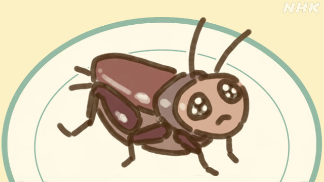 「日本の食文化が変わる？コオロギを食べる意義とは」