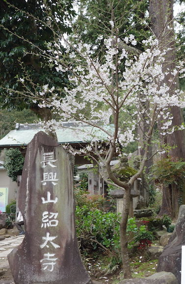 長興山紹太寺 ぐるめっこ 長興山紹太寺 ぐるめっこ