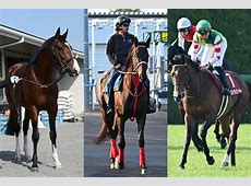【激戦】うぉー・・・函館記念とラジオNIKKEI賞を徹底解説！今週の競馬スレまとめ