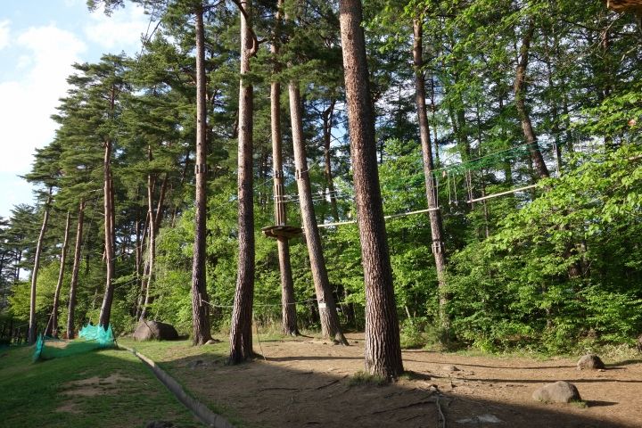 sDSC05306