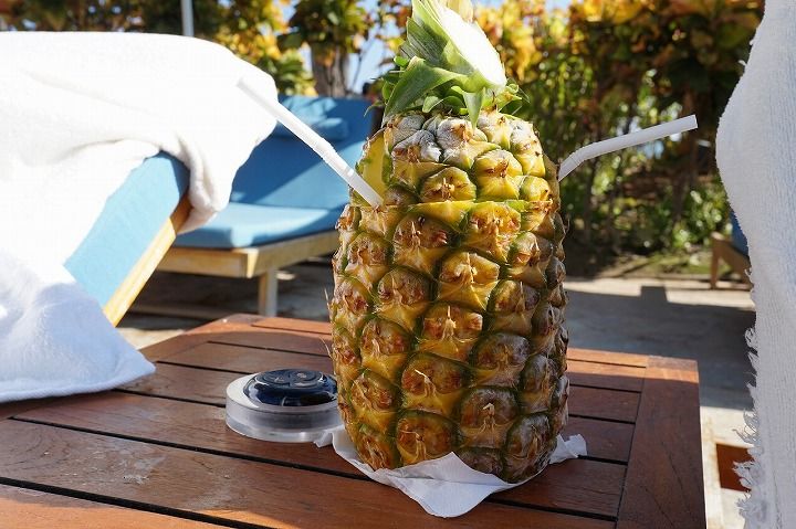 sm201711Hawaii0237