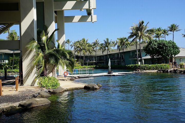 sm201711Hawaii0208