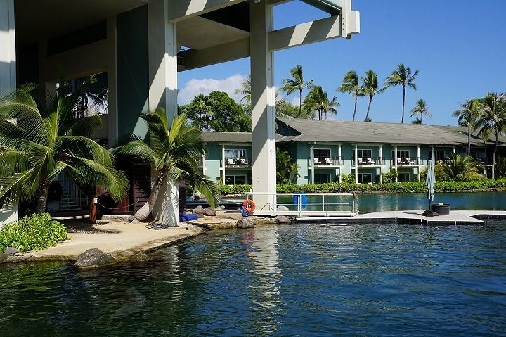 sm201711Hawaii0211