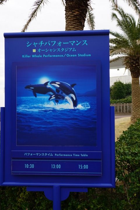 鴨川シーワールド 千葉県鴨川市 感動のシャチパフォーマンス Gourmet777のブログ 鴨川シーワールド 千葉県鴨川市 感動のシャチパフォーマンス Gourmet777のブログ