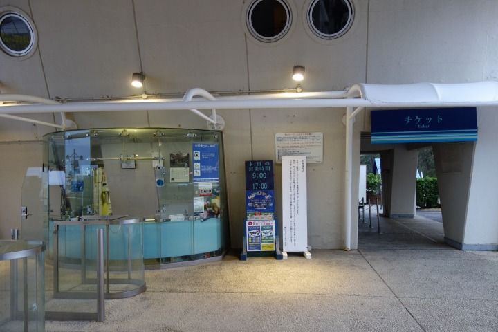 鴨川シーワールド 千葉県鴨川市 感動のシャチパフォーマンス Gourmet777のブログ 鴨川シーワールド 千葉県鴨川市 感動のシャチパフォーマンス Gourmet777のブログ