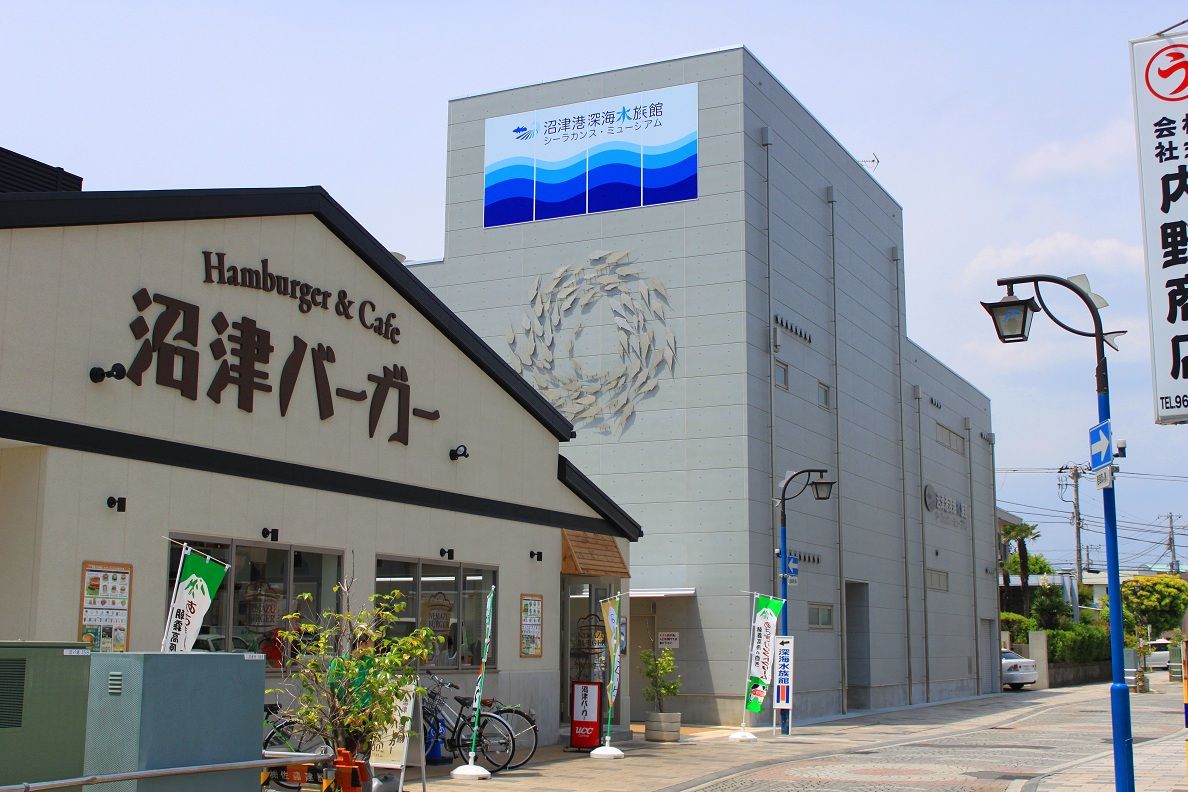 沼津港深海水族館 旨いが一番 沼津港深海水族館 旨いが一番