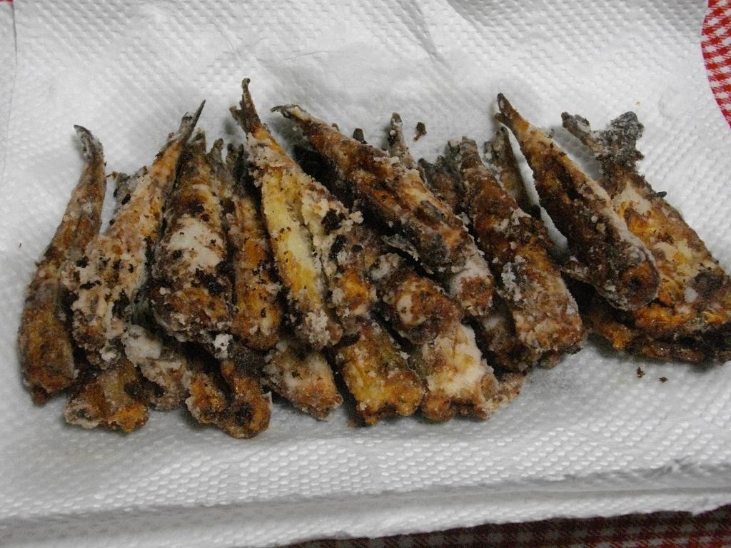 釣果 赤羽根漁港 サビキ釣り 旨いが一番 釣果 赤羽根漁港 サビキ釣り 旨いが一番