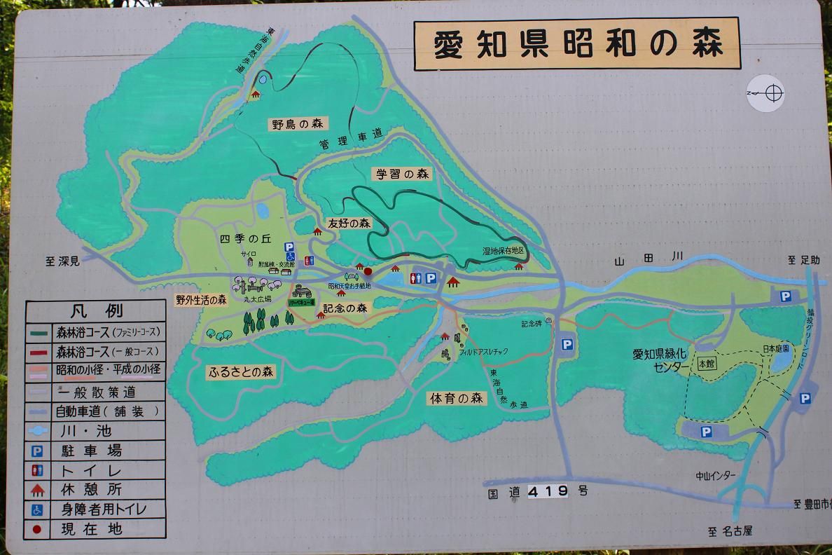 愛知県昭和の森 1 旨いが一番