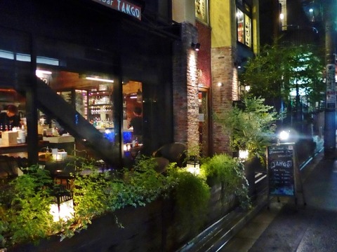 L1100904 (600x450)