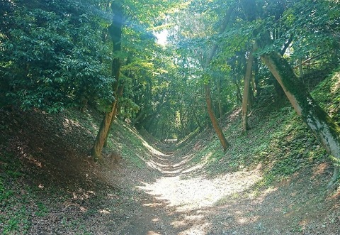 DSC_0904 (600x414)