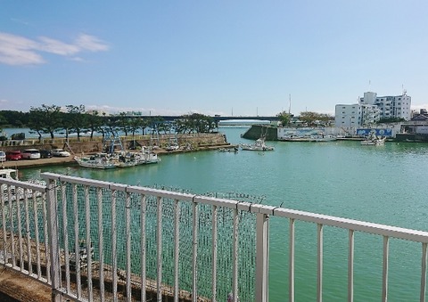 DSC_1066 (600x424)
