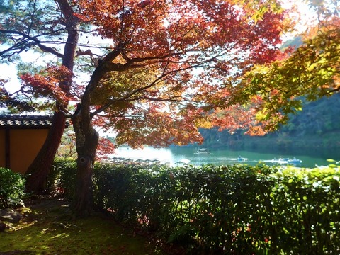 L1190148 (600x450)