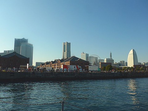 L1120893