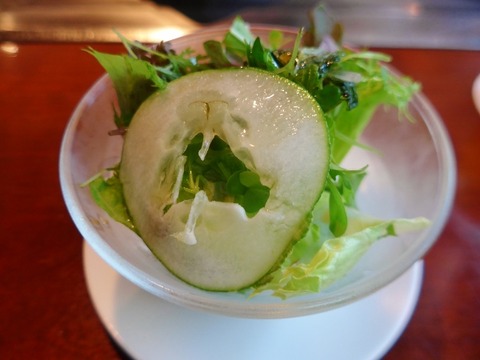 L1100019 (600x450)
