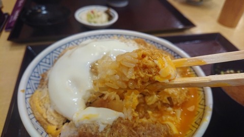 DSC_0012 (600x338)
