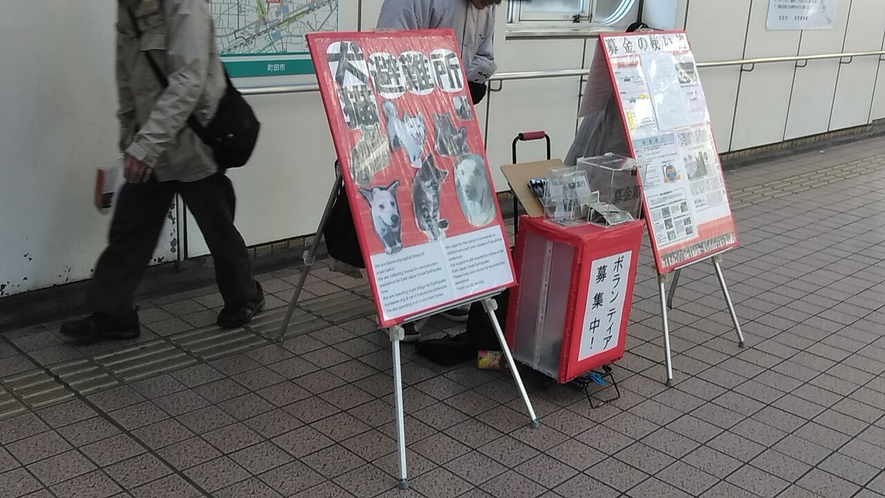 最悪の将軍 朝井まかて 虎狩る