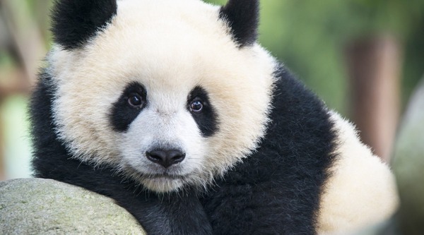 00066084657_Medium-1038x576