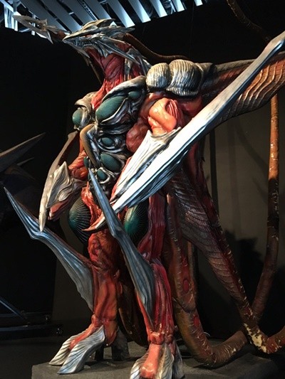 ff4fd87957a0b123a8fbb38ee98a398e (1)