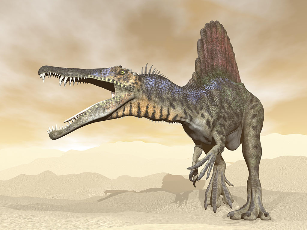 スピノサウルスの尾の化石発見 泳ぎが得意だった可能性 ゴジラまとめ情報 ゴジラボ