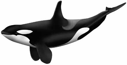 専門家 恐竜の外見なんてすべてオタクの妄想でしかないからね ゴジラまとめ情報 ゴジラボ