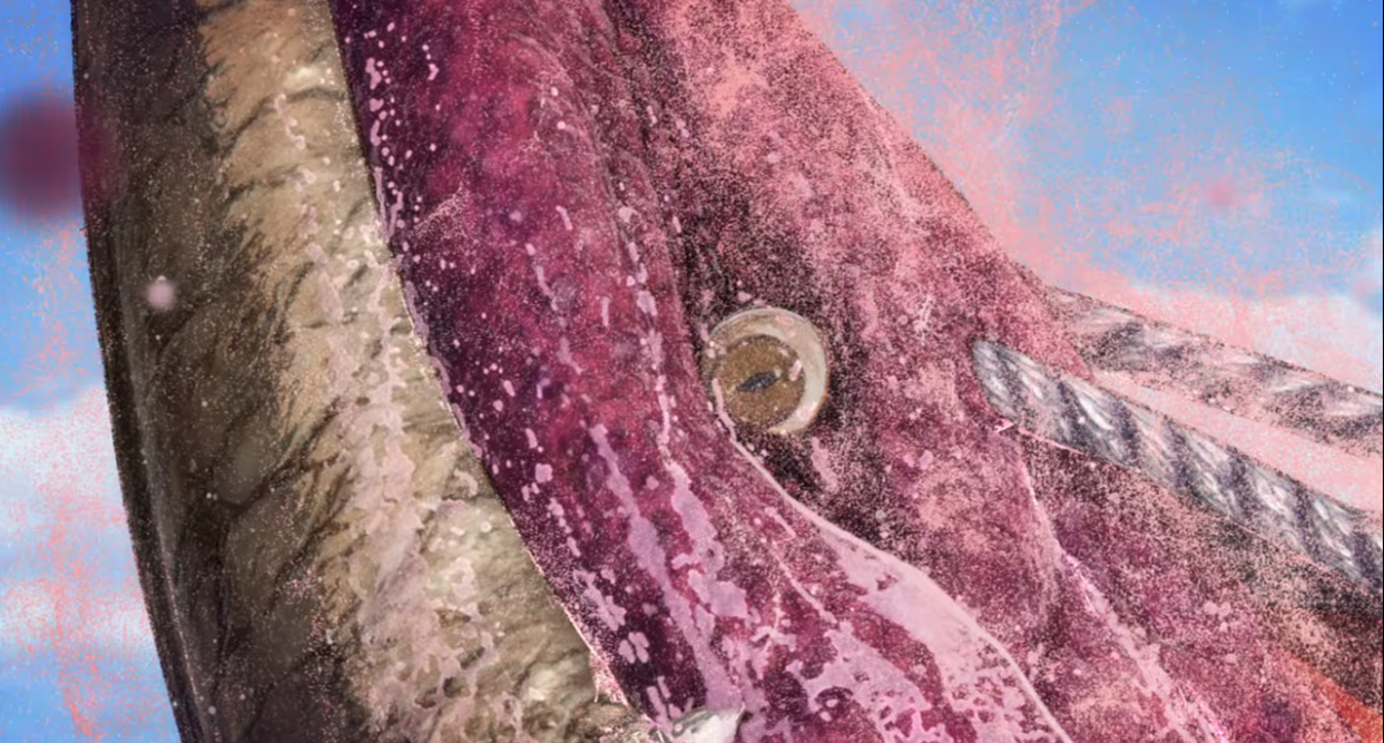 ゴジラsp6話 アクアティリス と マンダ のデザイン画が公開 ゴジラまとめ情報 ゴジラボ ゴジラsp6話 アクアティリス と マンダ のデザイン画が公開 ゴジラまとめ情報 ゴジラボ