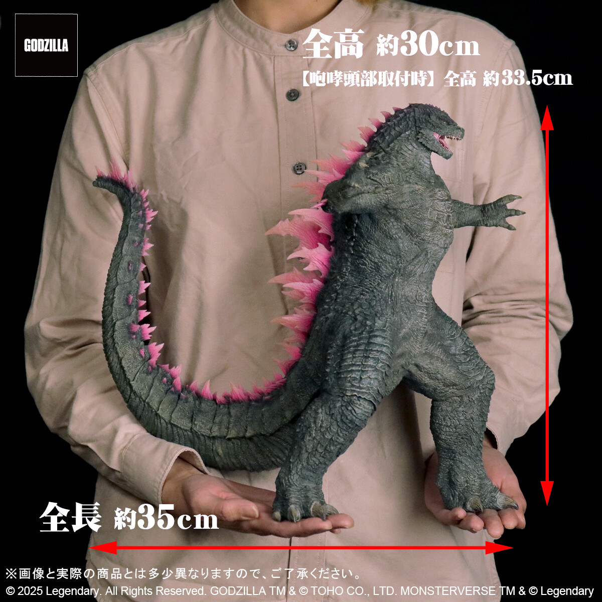 出品8/31まで‼東宝大怪獣シリーズ　GODZILLA2024　未開封通常ver GODZILLA (2024) EVOLVED Ver. FROM GODZILLA × KONG: THE NEW