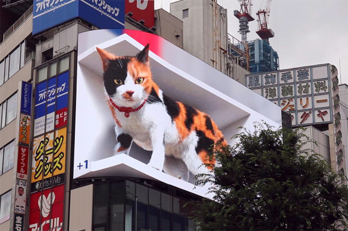 東京に登場した巨大な猫の広告 キャジラ が話題に ゴジラまとめ情報 ゴジラボ 東京に登場した巨大な猫の広告 キャジラ が話題に ゴジラまとめ情報 ゴジラボ