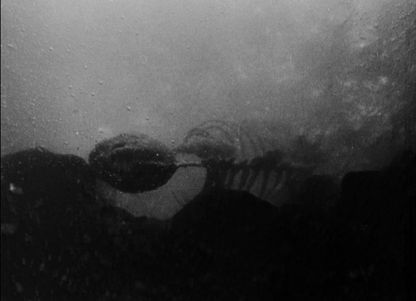 43f02b74366aea2da19355b9161bbe0c