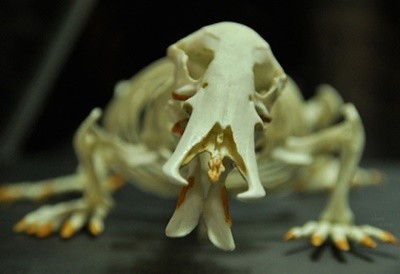 tumblr_ldvwqssI9p1qzzp1jo1_500