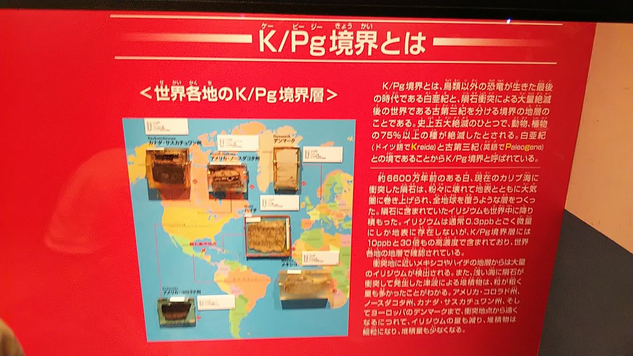 恐竜博2019 に行ってきました 超面白かったですヽ ノ 病院家庭医を目指して 野望達成への道 恐竜博2019 に行ってきました 超面白かったですヽ ノ 病院家庭医を目指して 野望達成への道